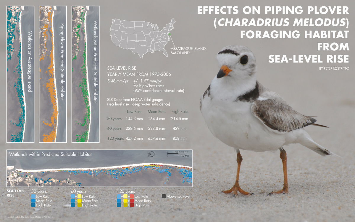 PIPL Poster